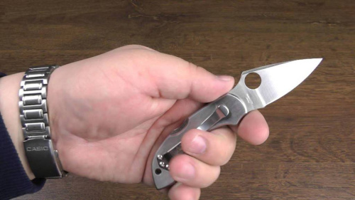 Складной нож Spyderco Dragonfly 2 - 28P фото 3 Складной нож Spyderco Dragonfly 2 - 28P фото 3
