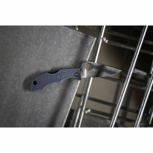 147 Spyderco LADYBUG - LBLP3E фото 2 147 Spyderco LADYBUG - LBLP3E фото 2